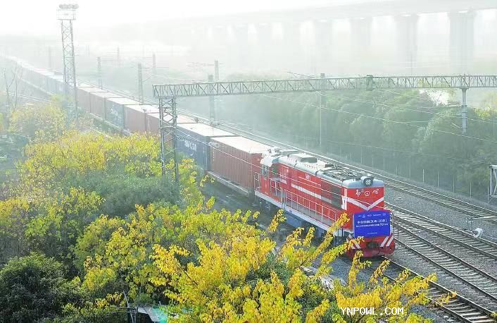 中老鐵路承運商品結構不斷優(yōu)化拉動(dòng)了貨運量快速增長(cháng)