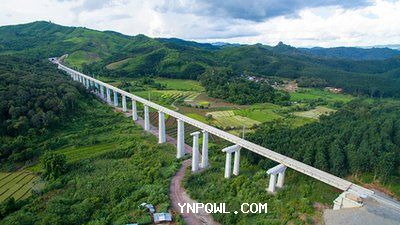 中老鐵路國際客貨運輸兩旺